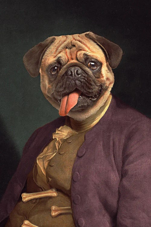 Benjamin Pug by Jonas Loose wall art