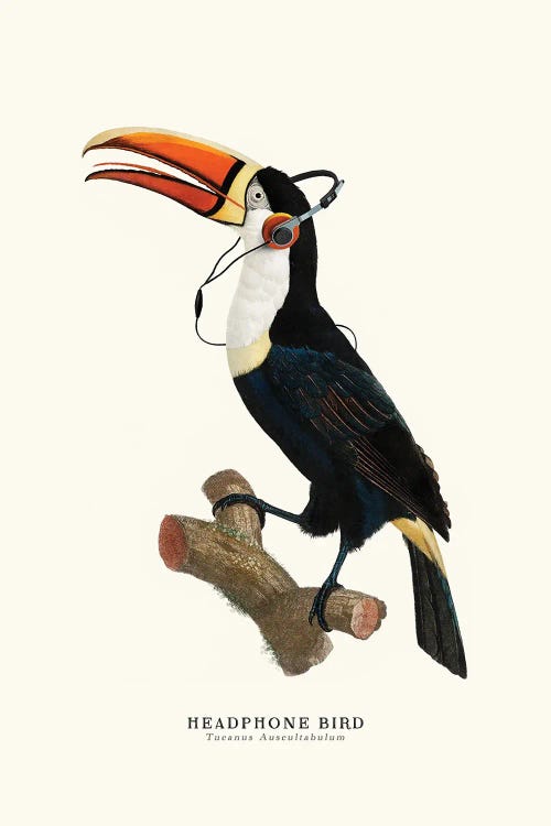 Headphone Bird by Jonas Loose wall art