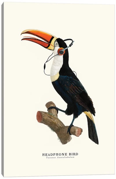 Headphone Bird Canvas Art Print - Toucan Art
