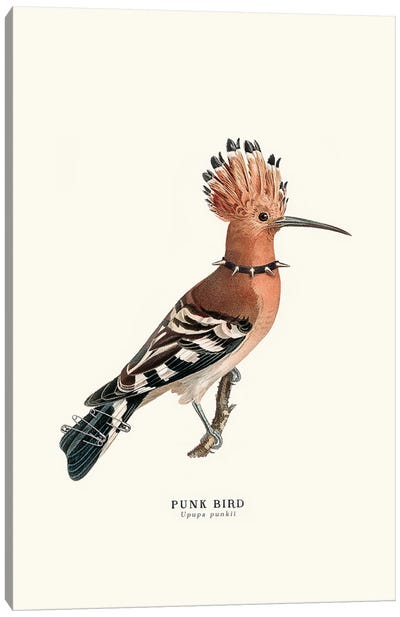 Punk Bird Canvas Art Print - Jonas Loose