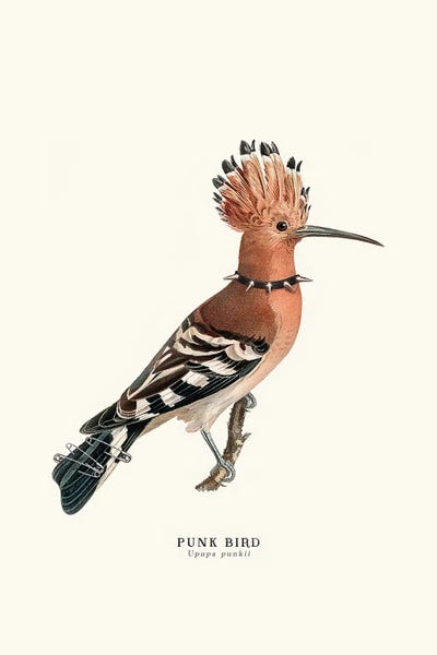 Punk Bird