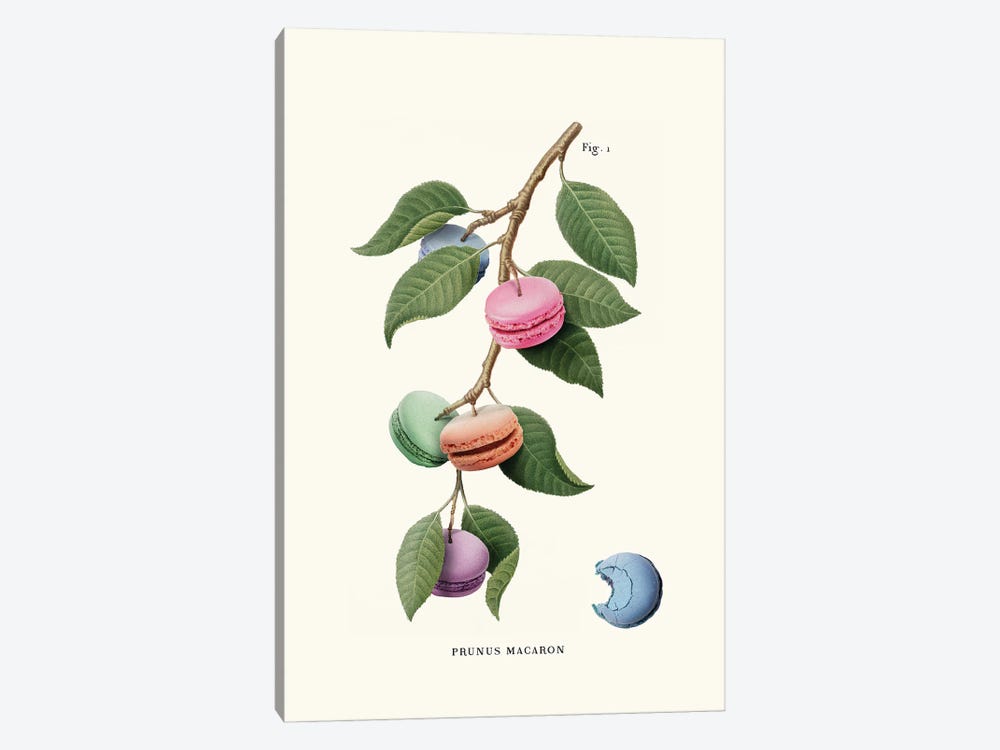 Macaron Plant by Jonas Loose 1-piece Art Print