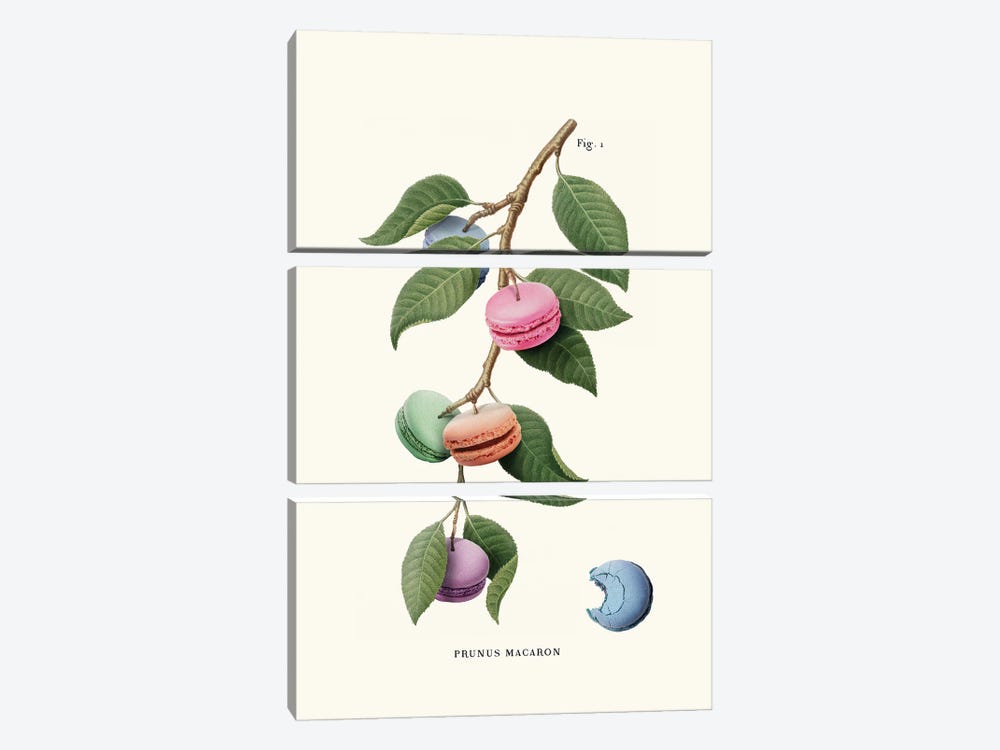 Macaron Plant by Jonas Loose 3-piece Canvas Art Print
