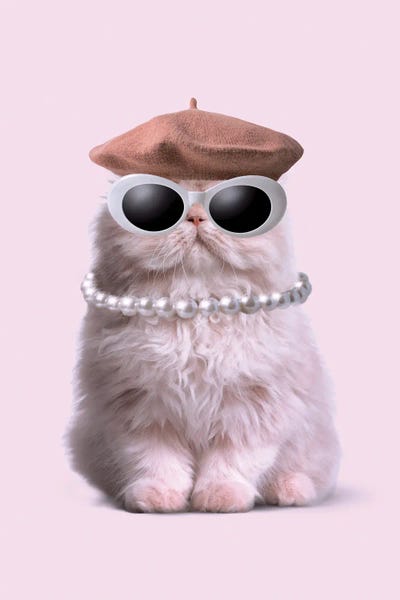 Persians: Fashion Cat by Jonas Loose