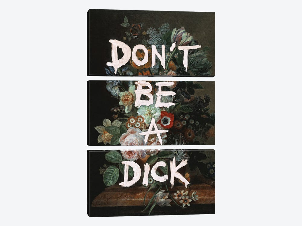Don't Be A Dick by Jonas Loose 3-piece Canvas Wall Art