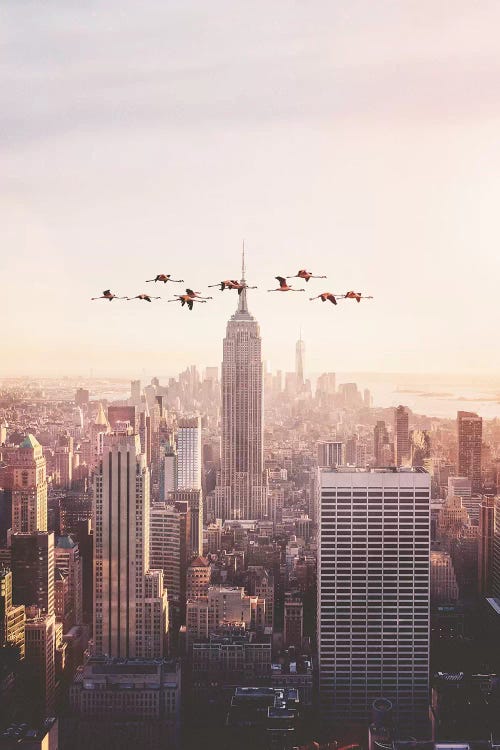 Flamingos In New York by Jonas Loose wall art