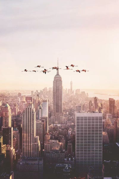 Jonas Loose: Flamingos In New York by Jonas Loose