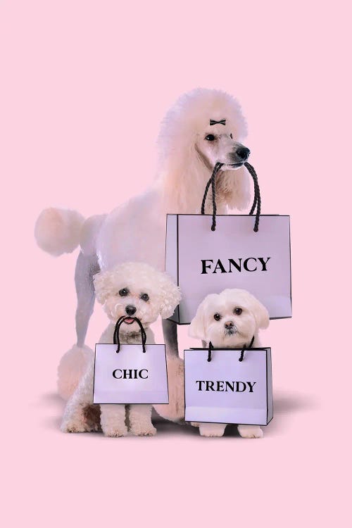 Fashion Dogs by Jonas Loose wall art