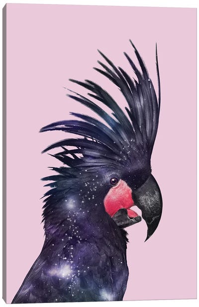 Galaxy Bird Canvas Art Print - Jonas Loose