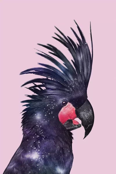 Galaxy Bird