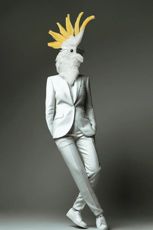 Fashion Cockatoo