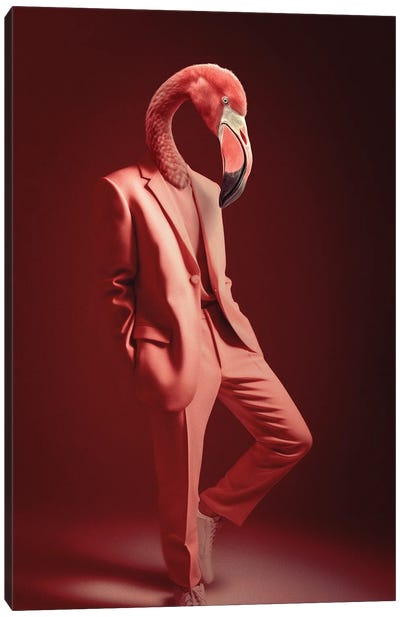 Fashion Flamingo Canvas Art Print - Jonas Loose