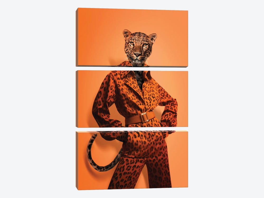Fashion Leopard by Jonas Loose 3-piece Canvas Art