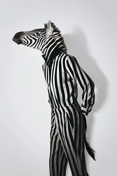 Fashion Zebra