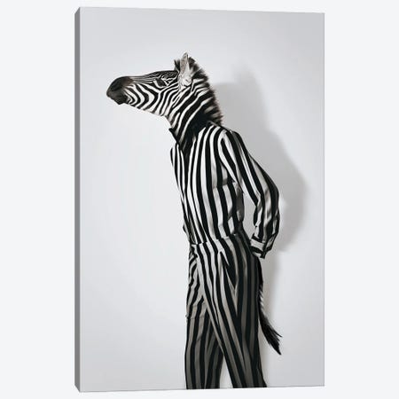 Fashion Zebra Canvas Print #LOO165} by Jonas Loose Canvas Art Print