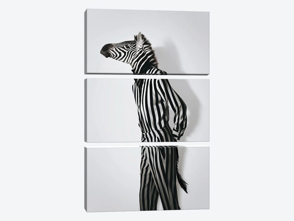 Fashion Zebra by Jonas Loose 3-piece Art Print