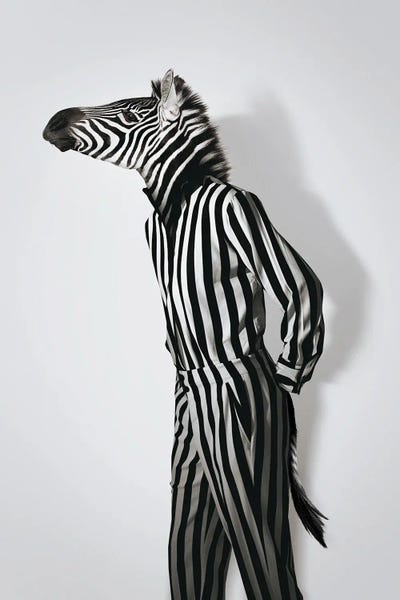 Zebras: Fashion Zebra by Jonas Loose