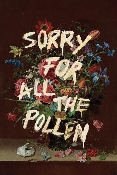 Jonas Loose: Sorry For All The Pollen by Jonas Loose