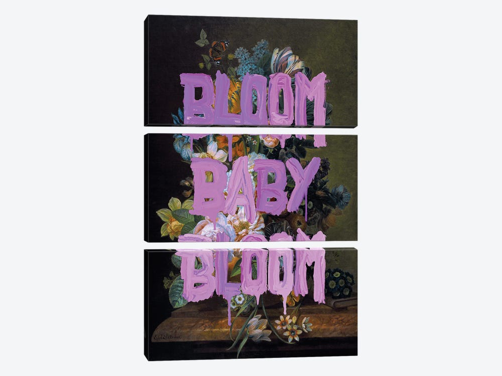Bloom Baby Bloom by Jonas Loose 3-piece Canvas Wall Art