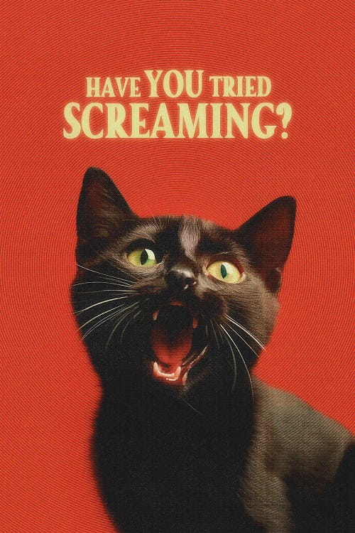 Have You Tried Screaming by Jonas Loose canvas print