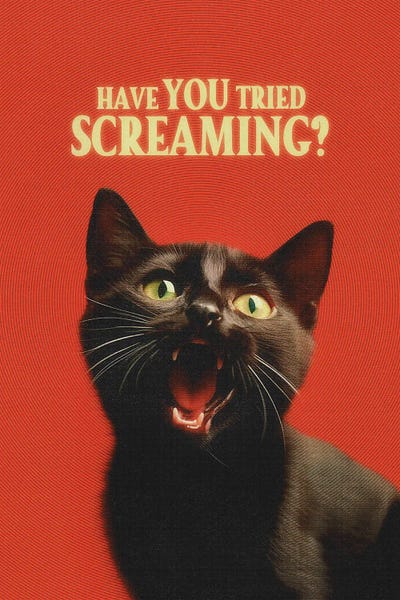 Fine Art Print: Have You Tried Screaming by Jonas Loose