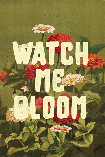 Jonas Loose - Canvas Prints: Watch Me Bloom by Jonas Loose