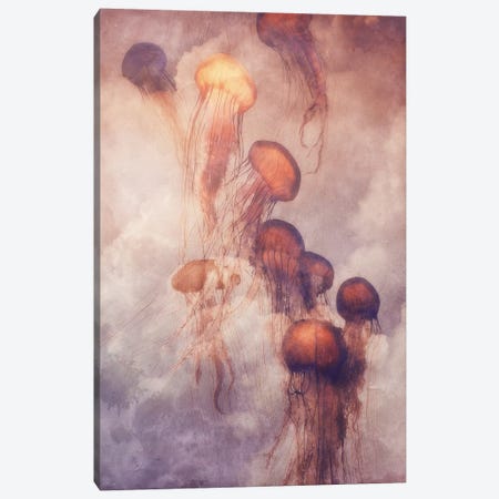 Jellyfish Sky Canvas Print #LOO19} by Jonas Loose Canvas Wall Art
