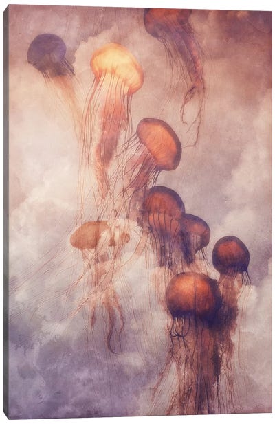 Jellyfish Sky Canvas Art Print - Jellyfish Art
