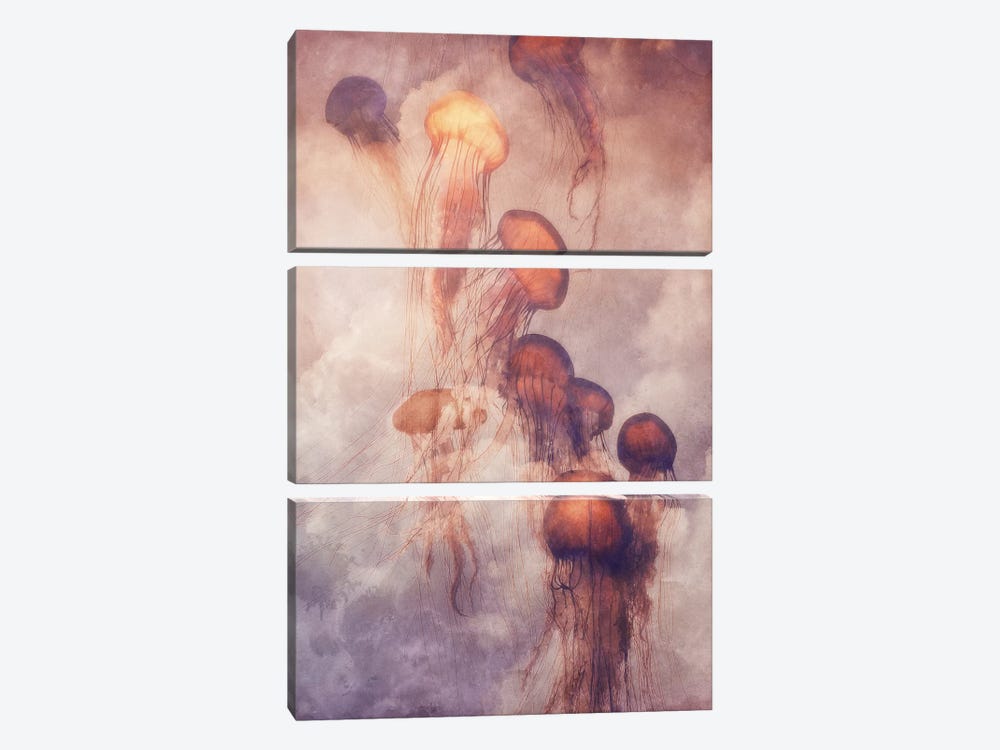 Jellyfish Sky by Jonas Loose 3-piece Art Print