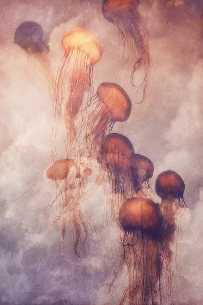 Kids Ocean Life Art: Jellyfish Sky by Jonas Loose