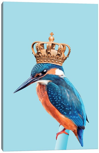 Kingfisher Canvas Art Print - Royalty