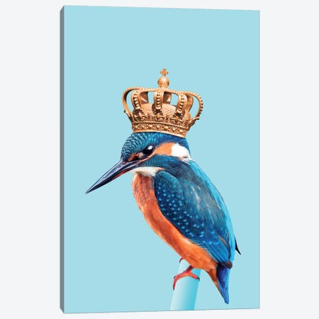 Kingfisher Canvas Print #LOO20} by Jonas Loose Canvas Print