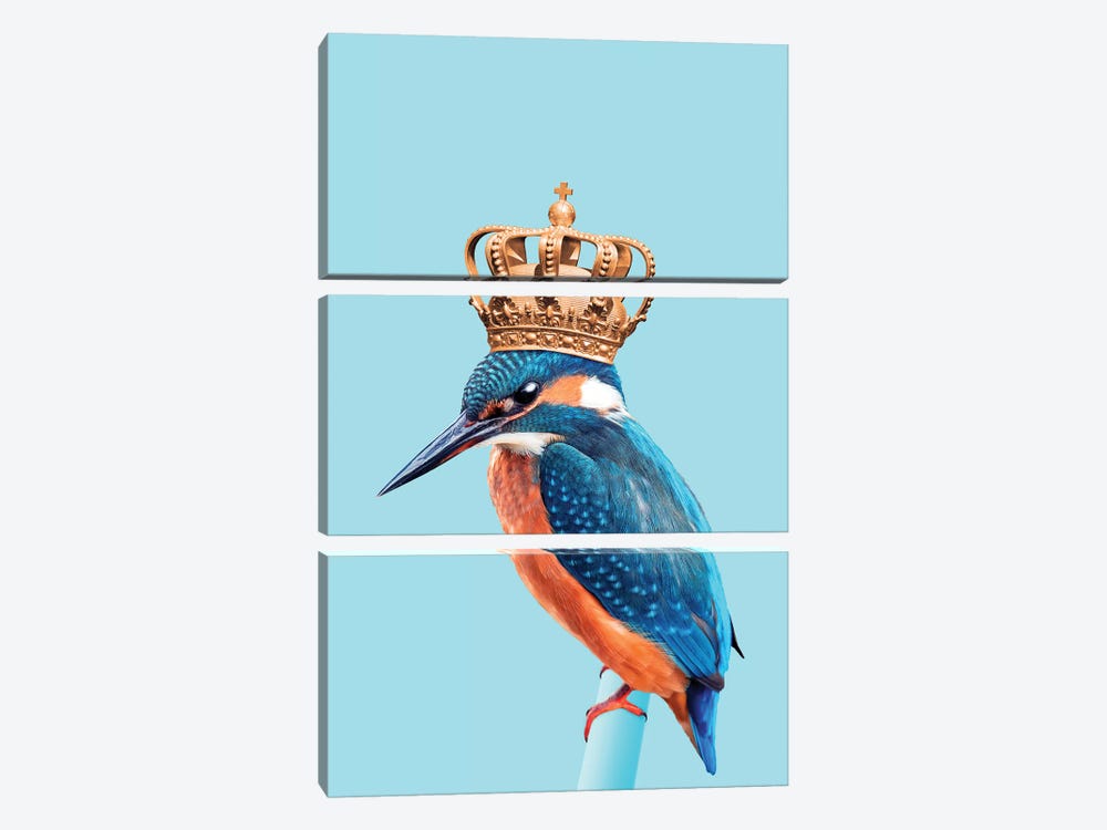 Kingfisher by Jonas Loose 3-piece Canvas Art Print
