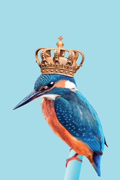 Crowns: Kingfisher by Jonas Loose