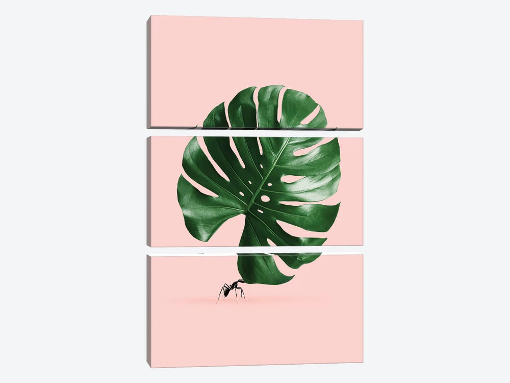 Monstera Ant by Jonas Loose 3-piece Canvas Wall Art