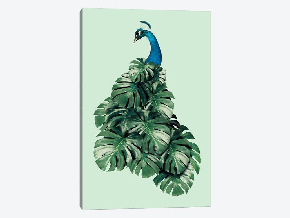 Monstera Bird by Jonas Loose 1-piece Canvas Print