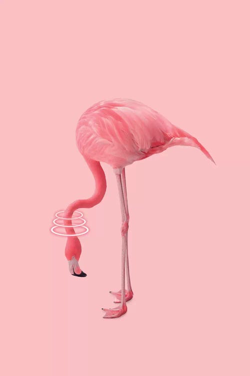 Neon Flamingo