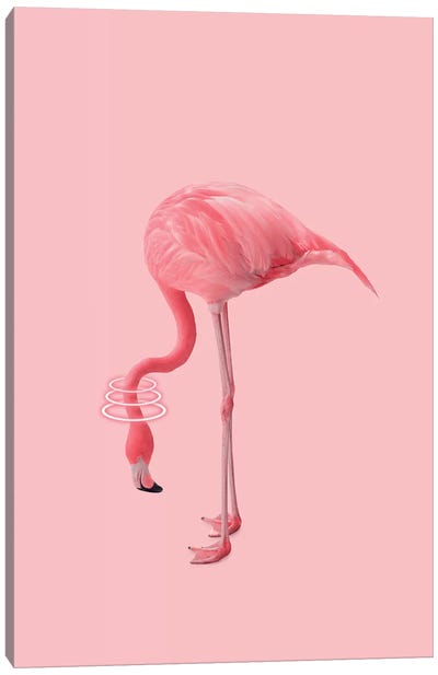 Neon Flamingo Canvas Art Print - Jonas Loose