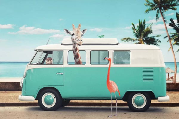 Giraffes: On The Road by Jonas Loose