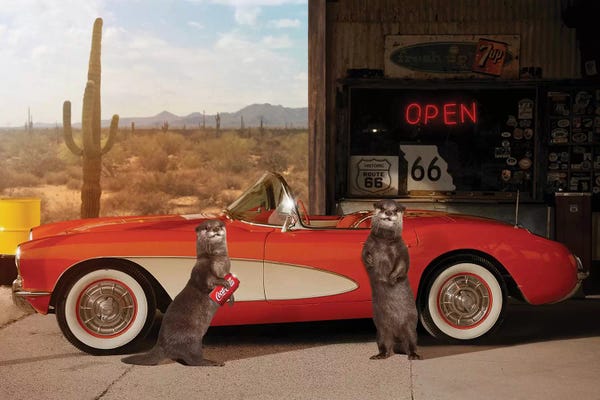 Bulls: Otter On Tour by Jonas Loose