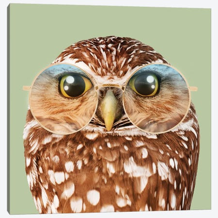 Owl With Glasses Canvas Print #LOO29} by Jonas Loose Canvas Art Print