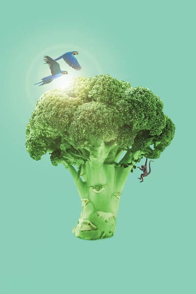 Broccoli by Jonas Loose multi panel art