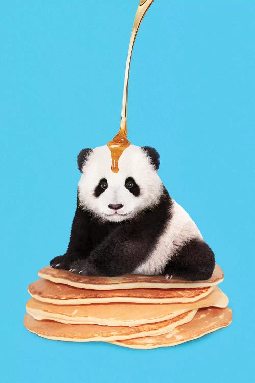 Pancake Panda