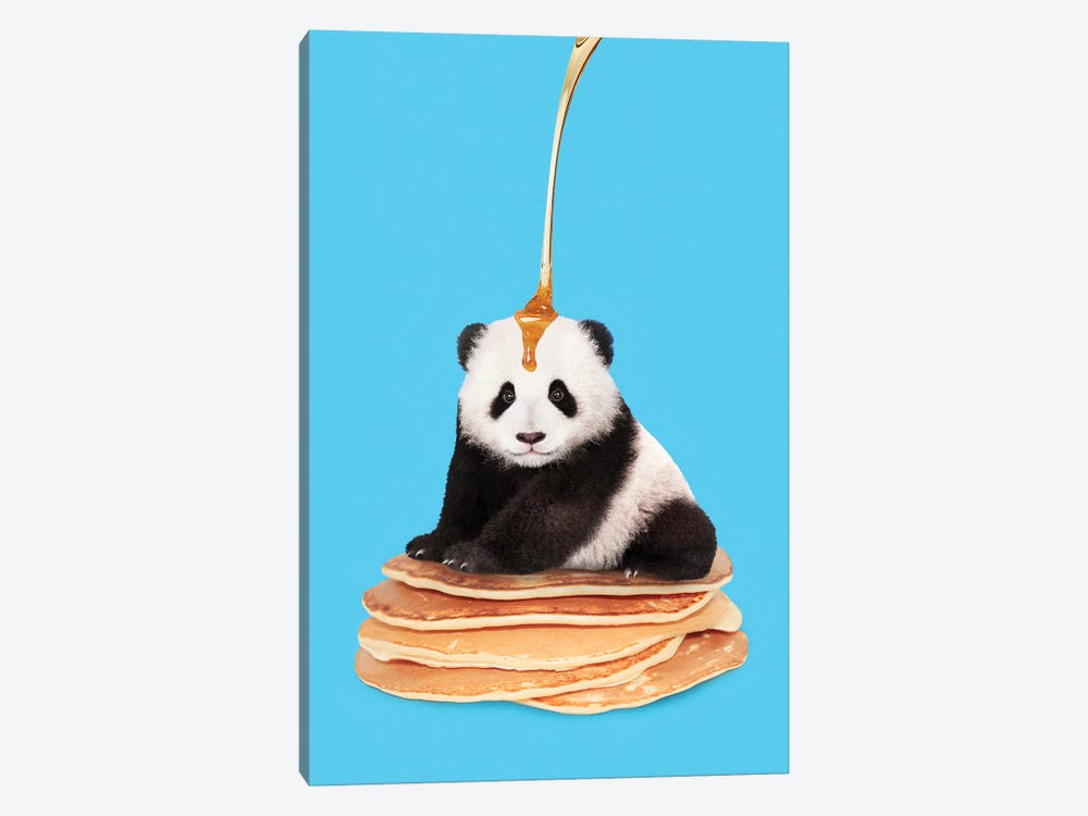 Pancake Panda by Jonas Loose 1-piece Canvas Art