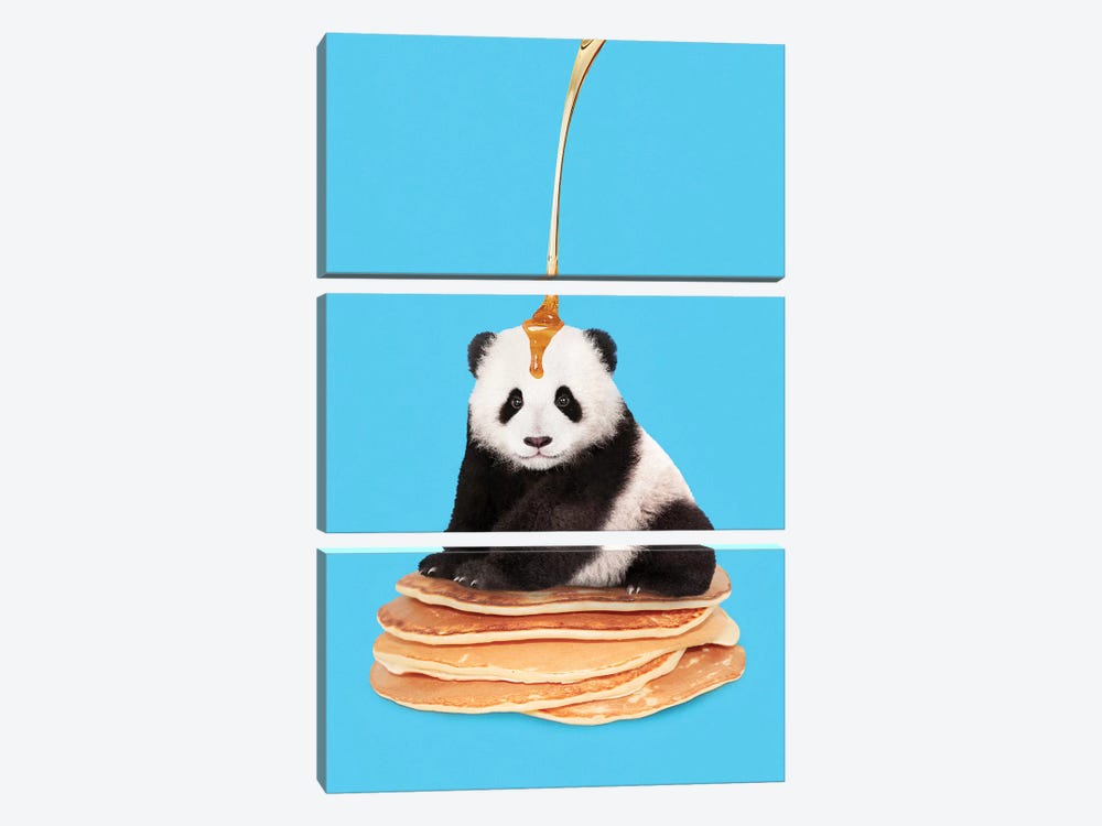 Pancake Panda by Jonas Loose 3-piece Canvas Art
