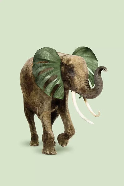 Philophant by Jonas Loose multi panel art