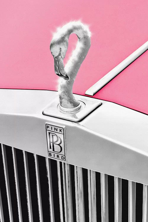 Pinkbird by Jonas Loose wall art