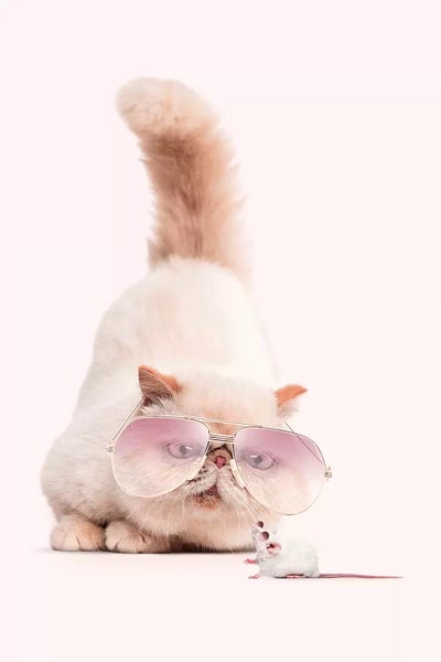 Predator & Pray by Jonas Loose multi panel art