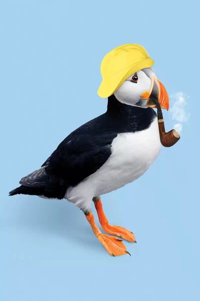 Puffin by Jonas Loose multi panel art