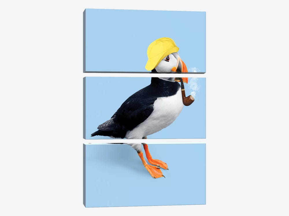 Puffin by Jonas Loose 3-piece Canvas Wall Art